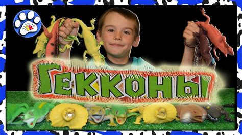 ГЕККОНЫ и ко макси деагостини СУПЕР крутая КОЛЛЕКЦИЯ - YouTube