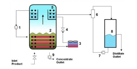 Water Evaporation Plants | CIE