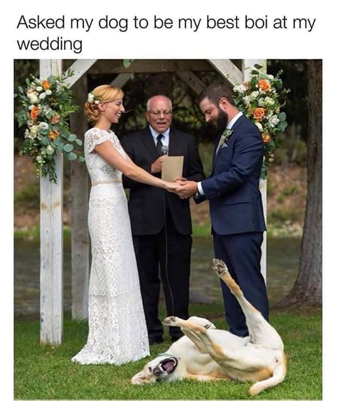 The Perfect Best Man Rwholesomememes Wholesome Memes Know Your Meme