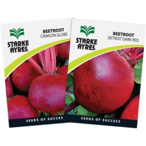 Starke Ayres Beetroot Variety Vegetable Seeds Offer At Shoprite