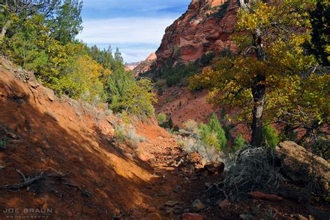 Hop Valley Trail Joes Guide To Zion National Park