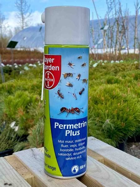 Gi plantene dine riktig omsorg for det beste resultatet. - Nygård Hagebruk