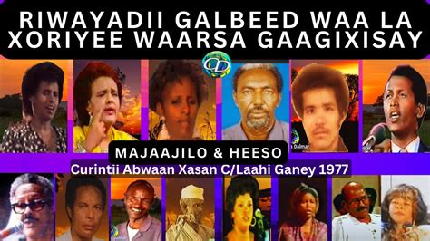 Riwayadi Galbeed Waa La Xoreeye Warsaa Gaagixisay Heeso Majaajilo