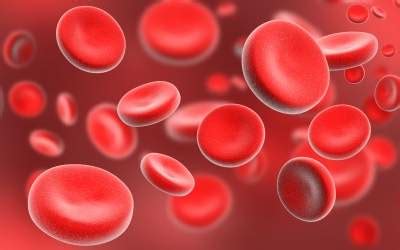 3 Types of Blood Cells with normal count & Functions in Body