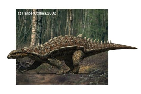 Hylaeosaurus Pictures & Facts - The Dinosaur Database