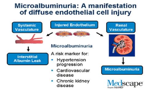 Importance of microalbuminuria. | Download Scientific Diagram 