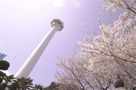 Busan Tower Fast Track Ticket - Book Online at Civitatis.com