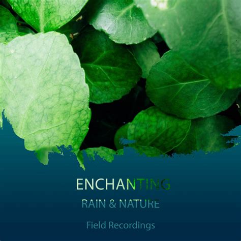 ZZz Enchanting Rain Nature Field Recordings ZZz Album By Nature