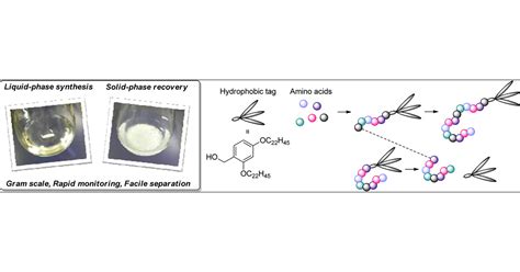 Tag Assisted Liquid Phase Peptide Synthesis Using Hydrophobic Benzyl