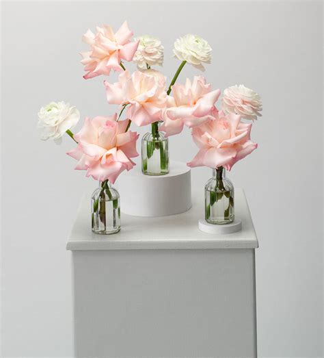 Pale Pink Rose Bud Vase Set Grandirosa