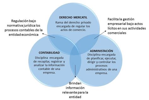 Buscar Semejanzas Y Diferencias Diagrama De Venn Ejemplos Di