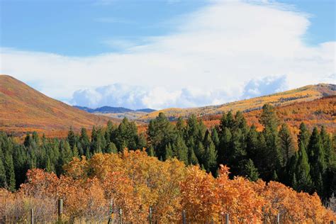 Up The Creek Ranch Silt Colorado Fay Ranches