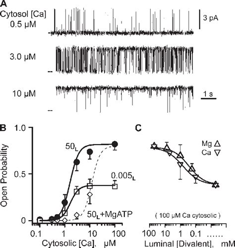 Figure From Flux Regulation Of Cardiac Ryanodine Receptor Channels