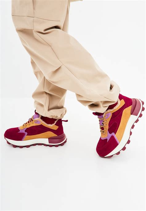 Cesare Gaspari Sneaker low - bordo/bordeaux - Zalando.at