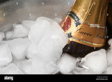 Champagne on ice - Champagner im Eis Stock Photo - Alamy