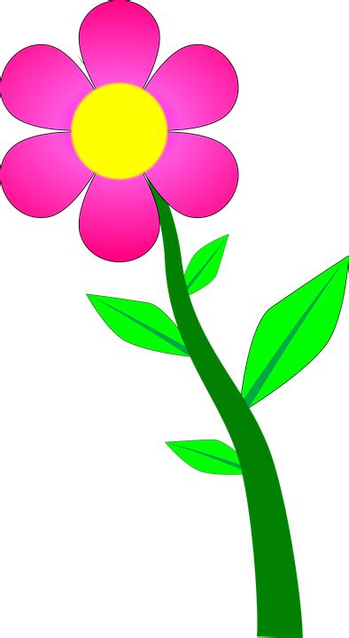 Flor Planta Rosa Dibujos · Gráficos Vectoriales Gratis En Pixabay