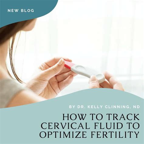 How To Track Cervical Fluid To Optimize Fertility