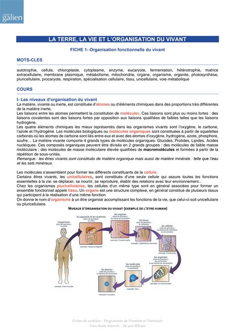 SOLUTION Svt Fiche 1 Organisation Fonctionnelle Du Vivant Studypool