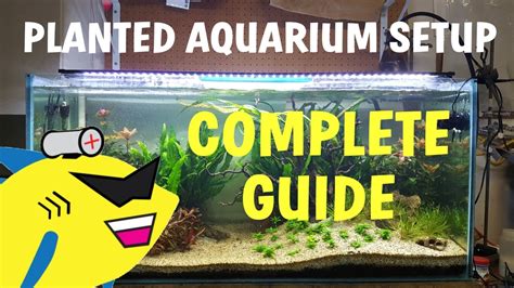 PLANTED AQUARIUM SETUP: Complete Guide To A Soil Planted Tank – HousePetsCare.com