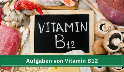 Aktuelle Erkenntnisse Führt Vitamin B12 Zu Gewichtszunahme Zell