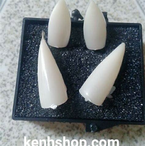 Răng nanh giả - KenhShop.Com