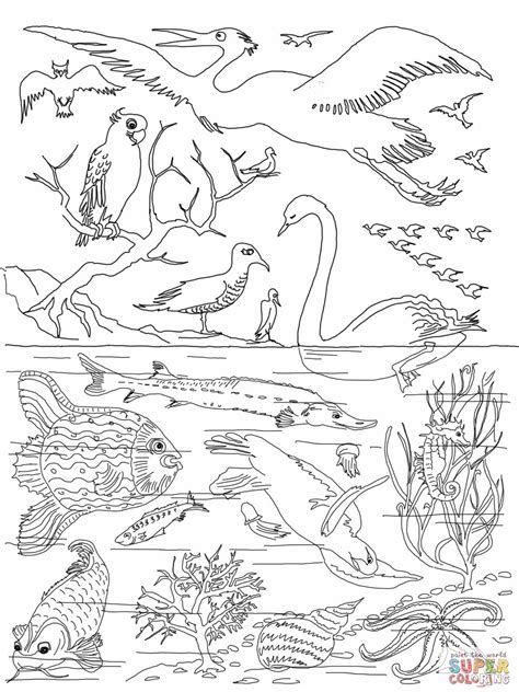 Creation Days Coloring Page Sundayschoolist