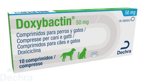 Doxybactin Albet Distribuidora Veterinaria Online Dechra