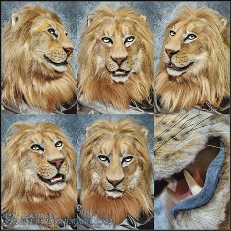 Lion Furs Lionfurs Twitter