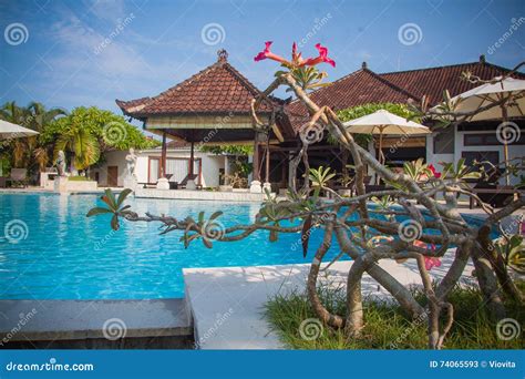 Beautiful Bali pool stock image. Image of building, holiday - 74065593