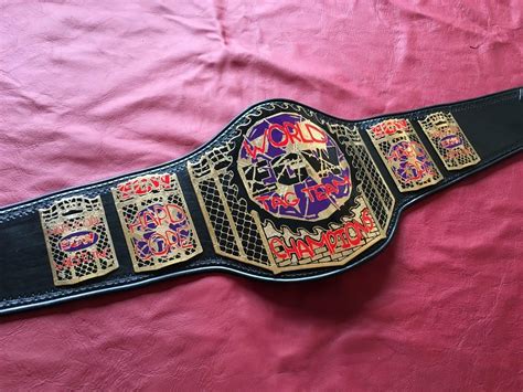 ECW World Tag Team Championship | Ufc belt, Wwe belts, Professional ...