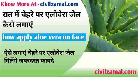 Aloe Vera Gel रात में चेहरे पर एलोवेरा जेल कैसे लगाएं ऐसे करें एलोवेरा जेल का इस्तेमाल