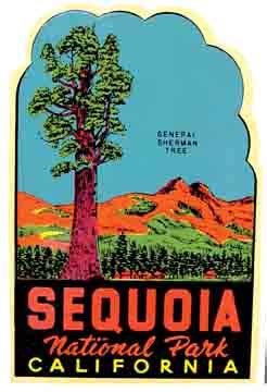 Sequoia National Park | Vintage Road Trip Collection