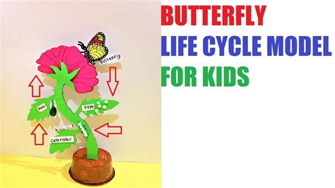 Butterfly Life Cycle Model 3d Science Exhibition Model Diy At Home