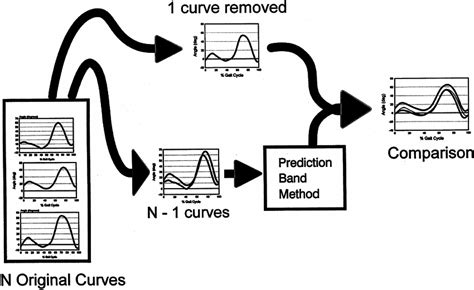 Schematic Illustration Of The Cross Validation Method For Each