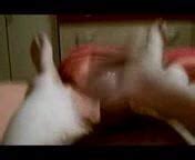 Ich Spritz Ab Free Gay Porn Video C XHamster