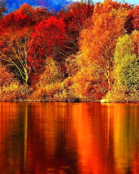 Paul Rumbold On Twitter Rt Lovesongs Peace Awesome Autumn Colors