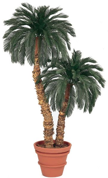 Earthflora Outdoor Tropical Artificial Palm Trees Exterior Artificial Palms And Artificial