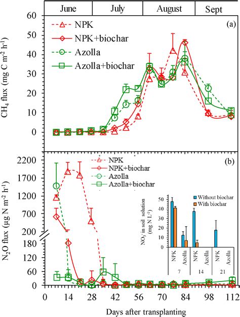 Co Application Of Poultry Litter Biochar With Azolla Has Synergistic