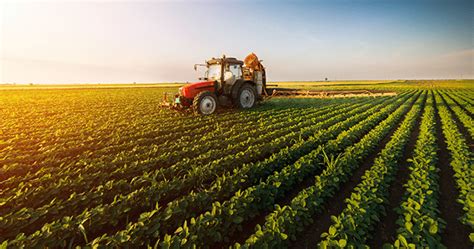 Agropecu Ria O Que E Qual A Sua Import Ncia Para O Brasil