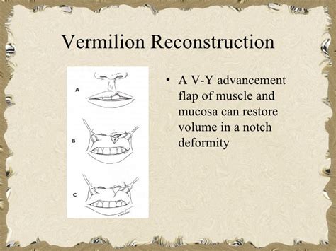 Lip Reconstruction