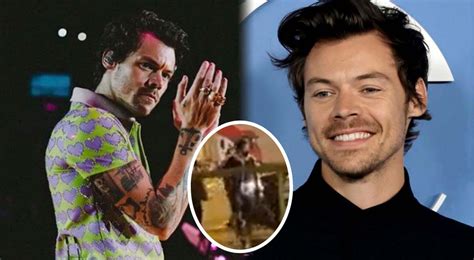 Harry Styles En Lima Per Tiktok Viral As Fue Su Llegada A La