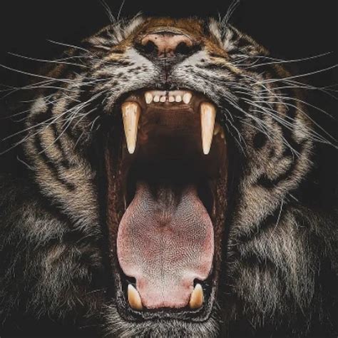 Maminoma Russian Mature Mature Porn XHamster