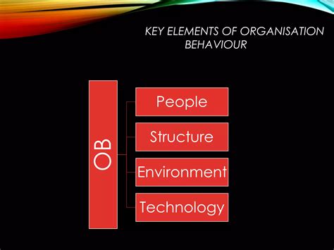Individual Behaviour In Organisation 3