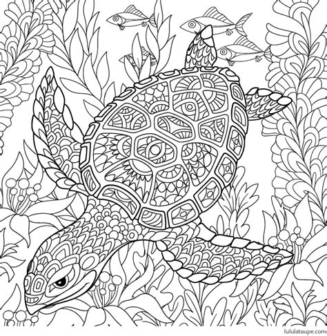 Tortue Png 646665 Coloriage Dessin Coloriage