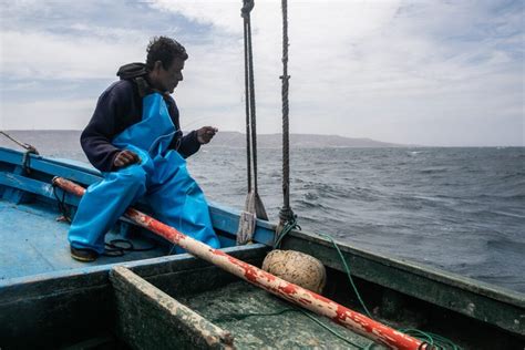 An Lisis Ley Que Reconoce La Pesca Ancestral Y Artesanal E Impulsa Su