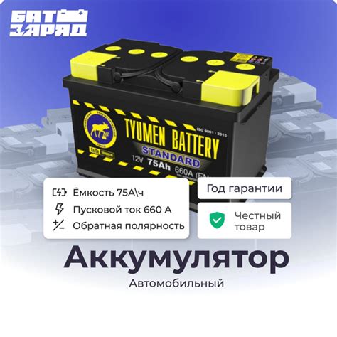 Аккумулятор автомобильный Tyumen Battery 6CT-STANDARD купить по ...