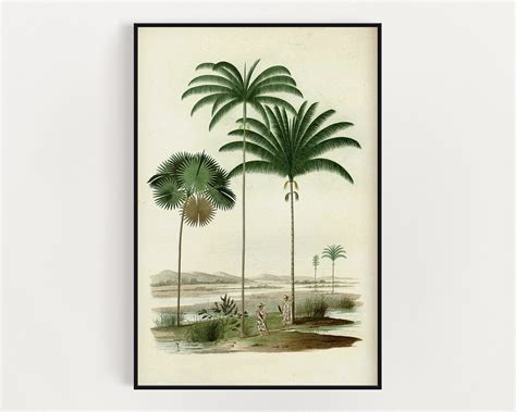 Vintage Palm Tree Print Mid Century Beach House Antique Etsy