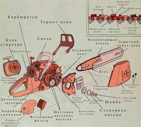Устройство бензопилы: схема и конструкция элементов бензопилы