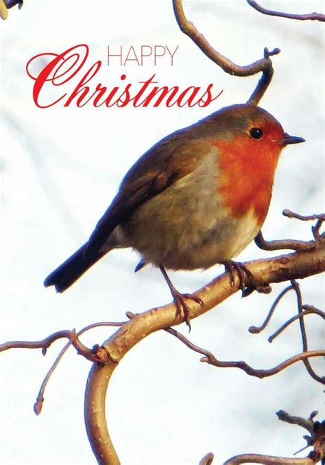 St Martin Apostolate Animal Charity Christmas Cards - St Martin Apostolate