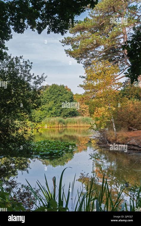 The Ornamental Lake On Southampton Common Southampton Uk Stock Photo